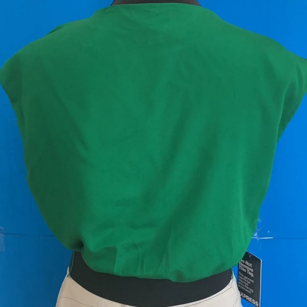 COPY - EXPRESS NEW Fitted Dress - Picture 8 of 14